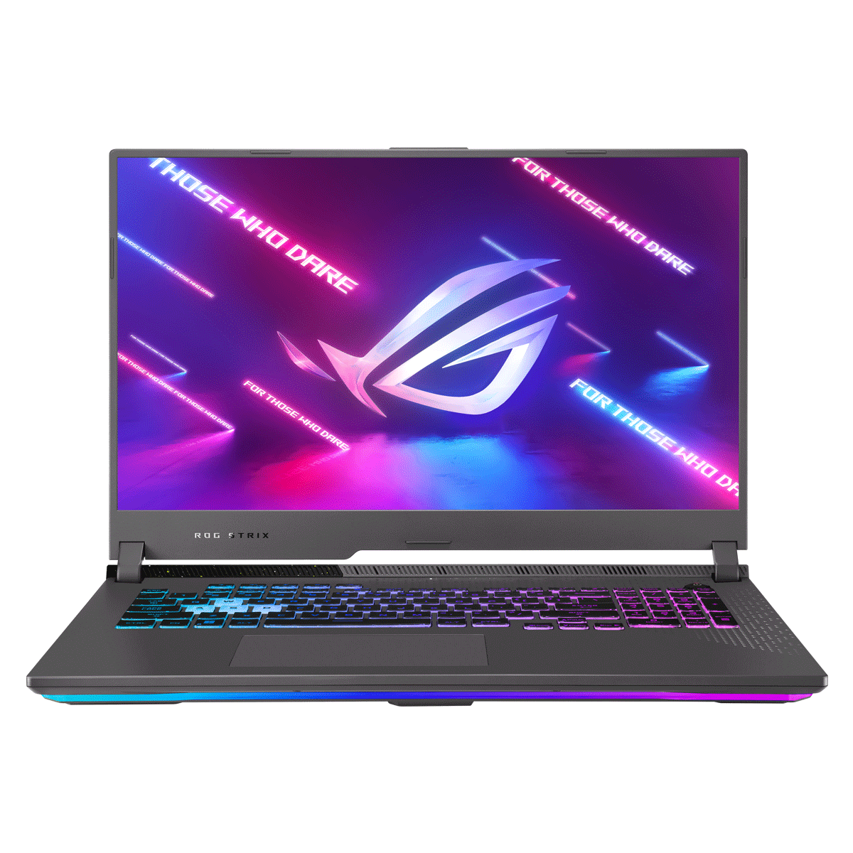 ROG Strix G17 - Ryzen 7 (Asus G713RM-RTX3060)